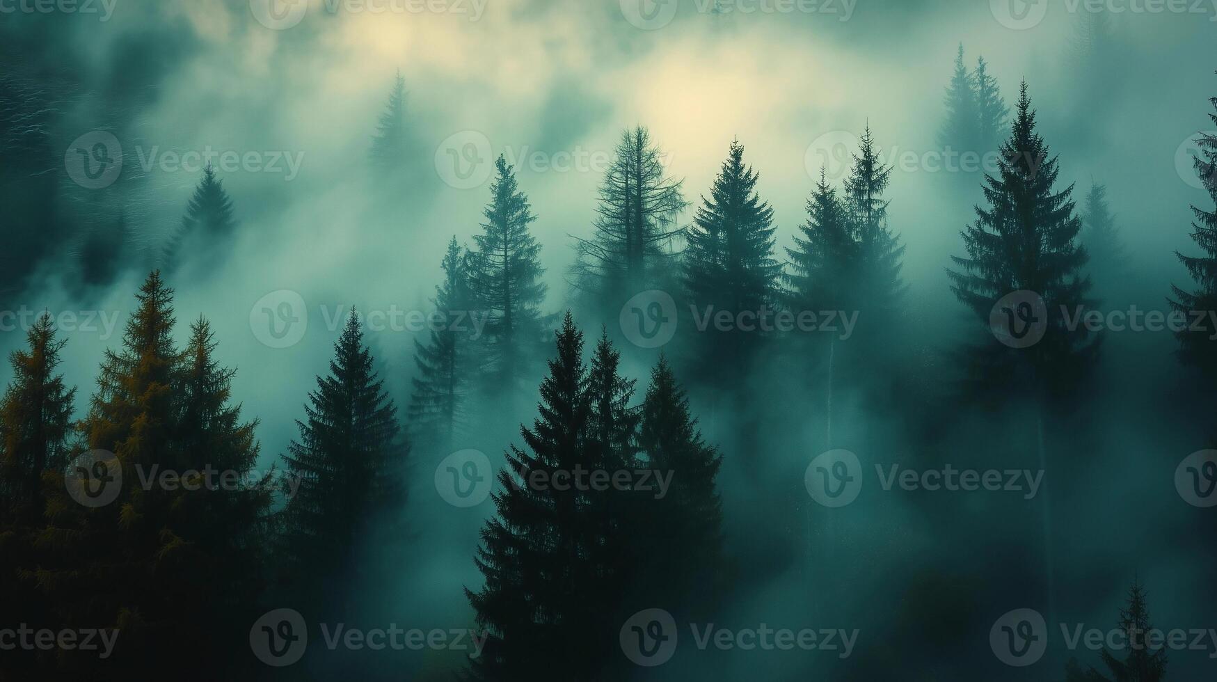 A dense forest with a thick fog covering the trees. The fog creates a mysterious and eerie atmosphere, making the forest appear almost otherworldly. The trees are tall photo