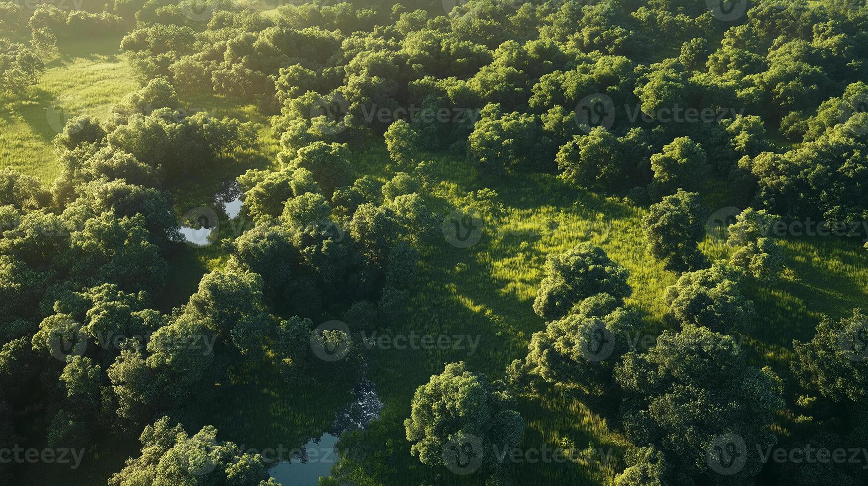 A lush green forest with a river running through it. The trees are tall and the grass is short. The sky is clear and the sun is shining brightly photo