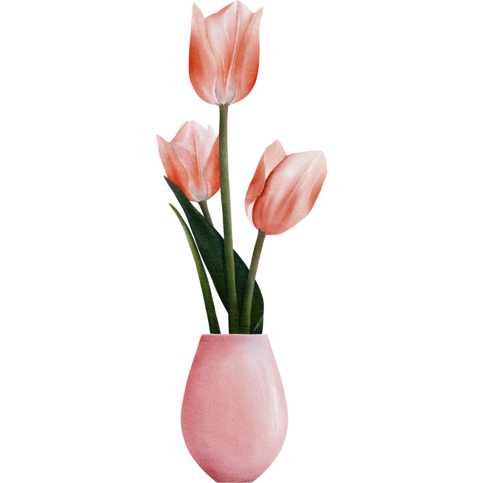 Tulips in a Pink Vase with transparent background png