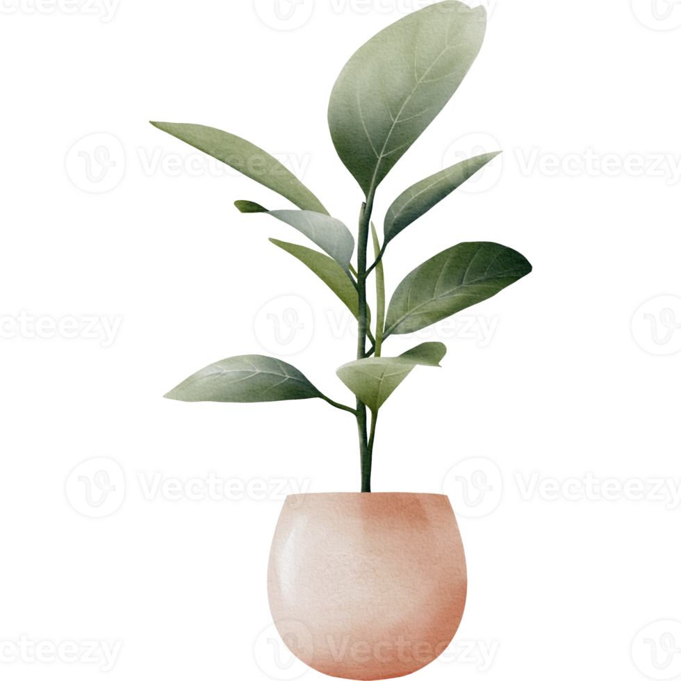 green plant in peach-colored pot with transparent background png