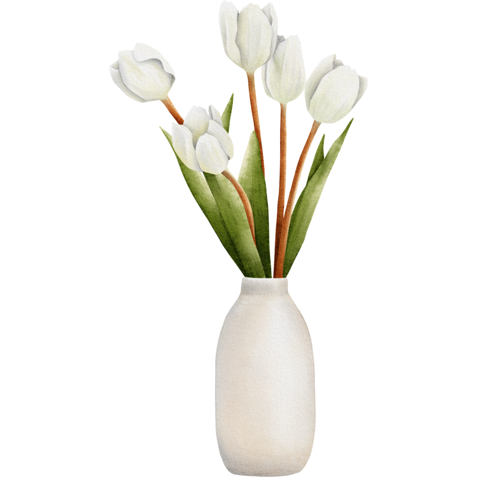 white tulips in a vase on a transparent background png