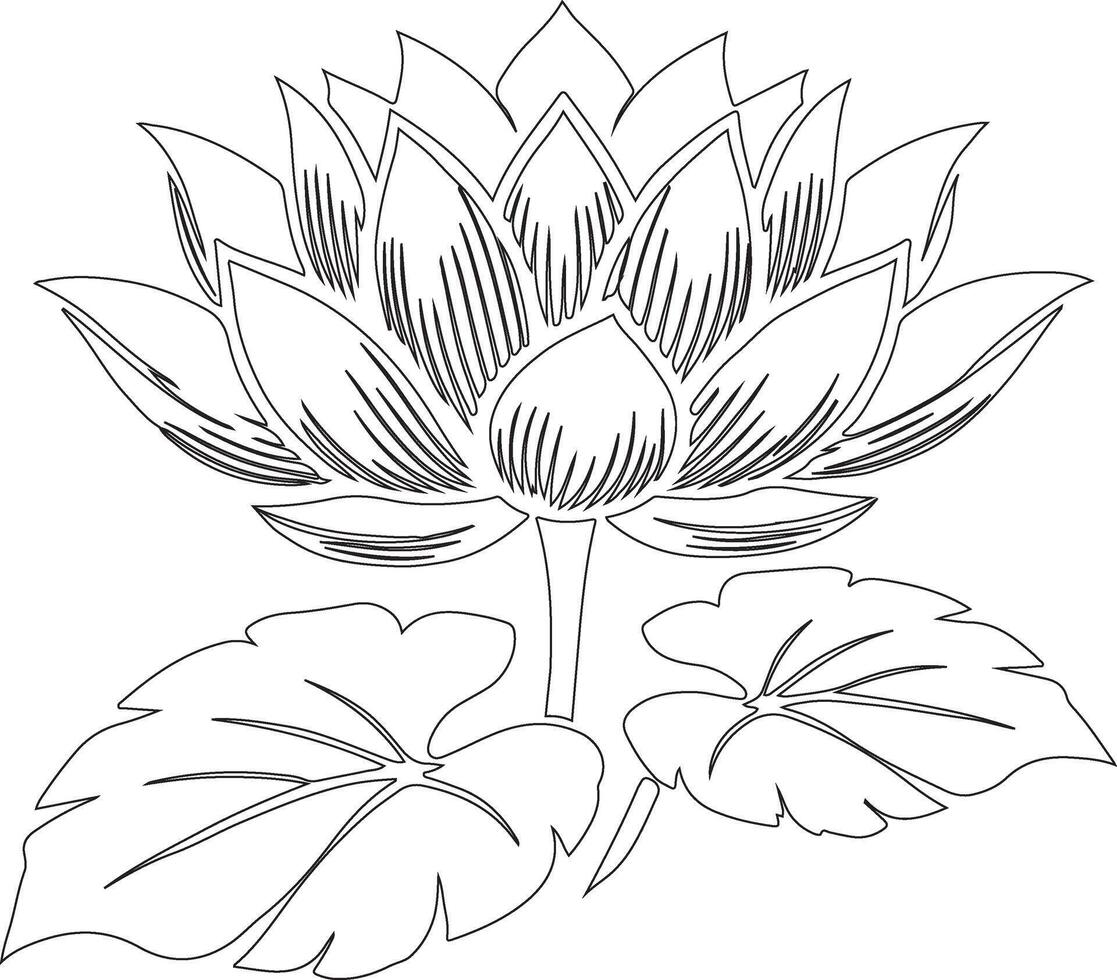 a black and white drawing of a lotus flower vector