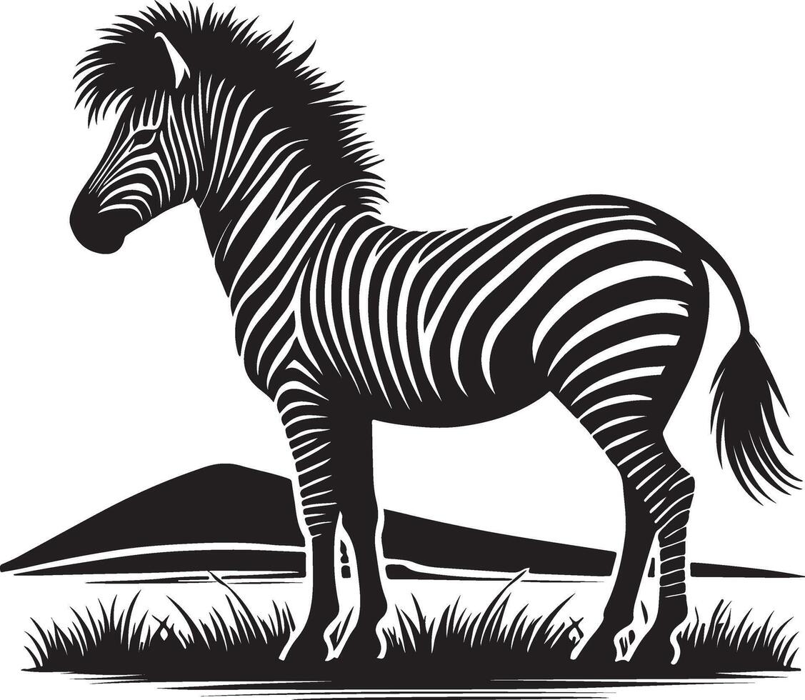 zebra standing in the grass on a white background vector