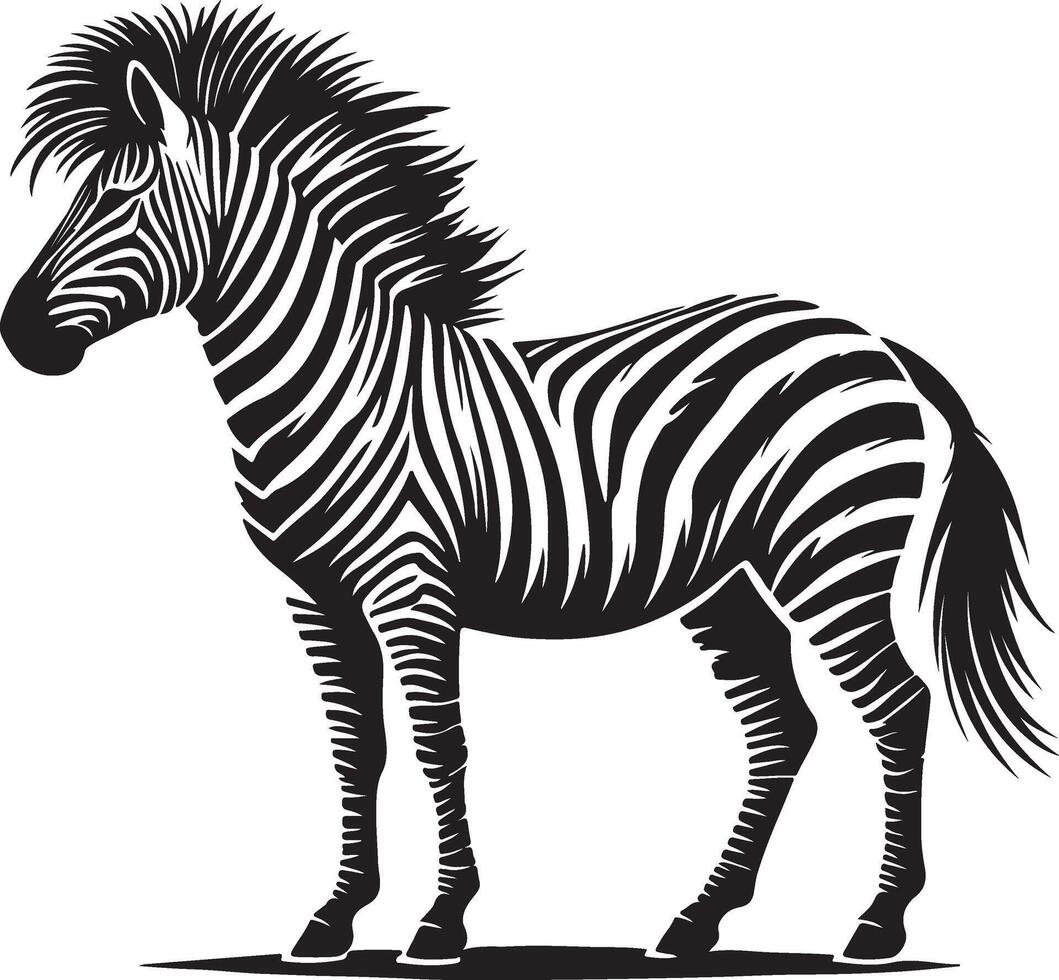 zebra silhouette white background vector