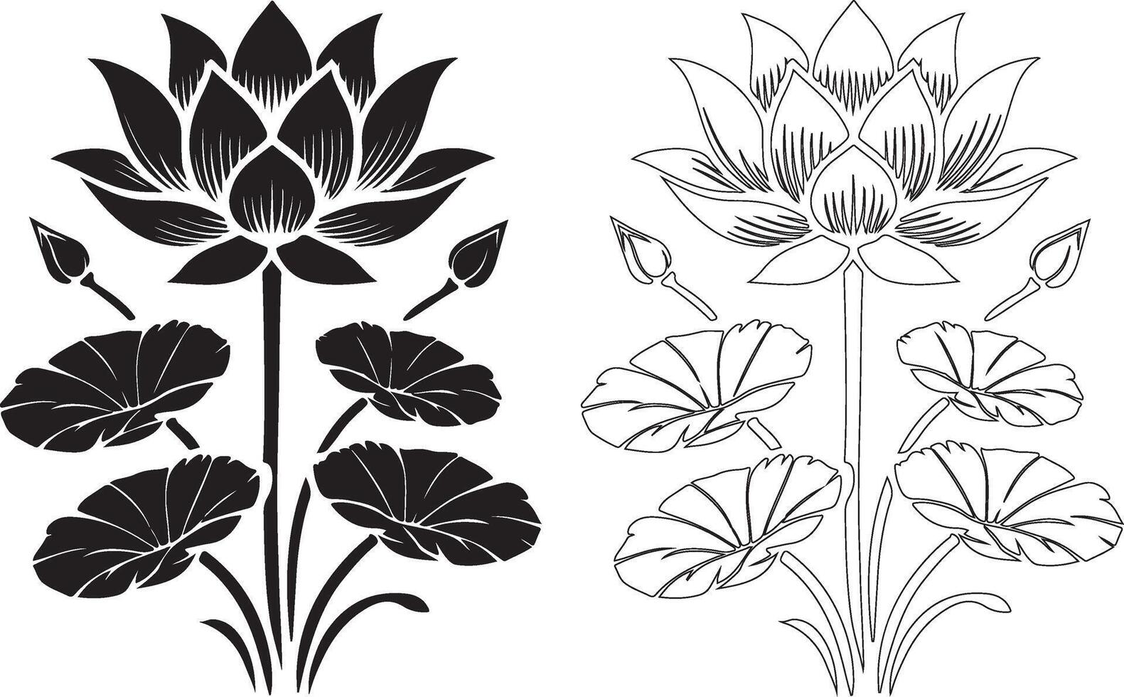 two black and white lotus flowers on a white background vector
