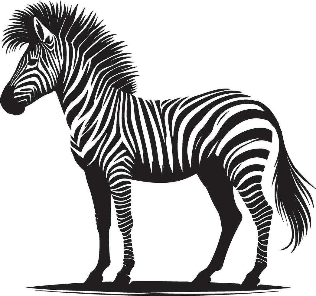zebra standing in front of a white background vector