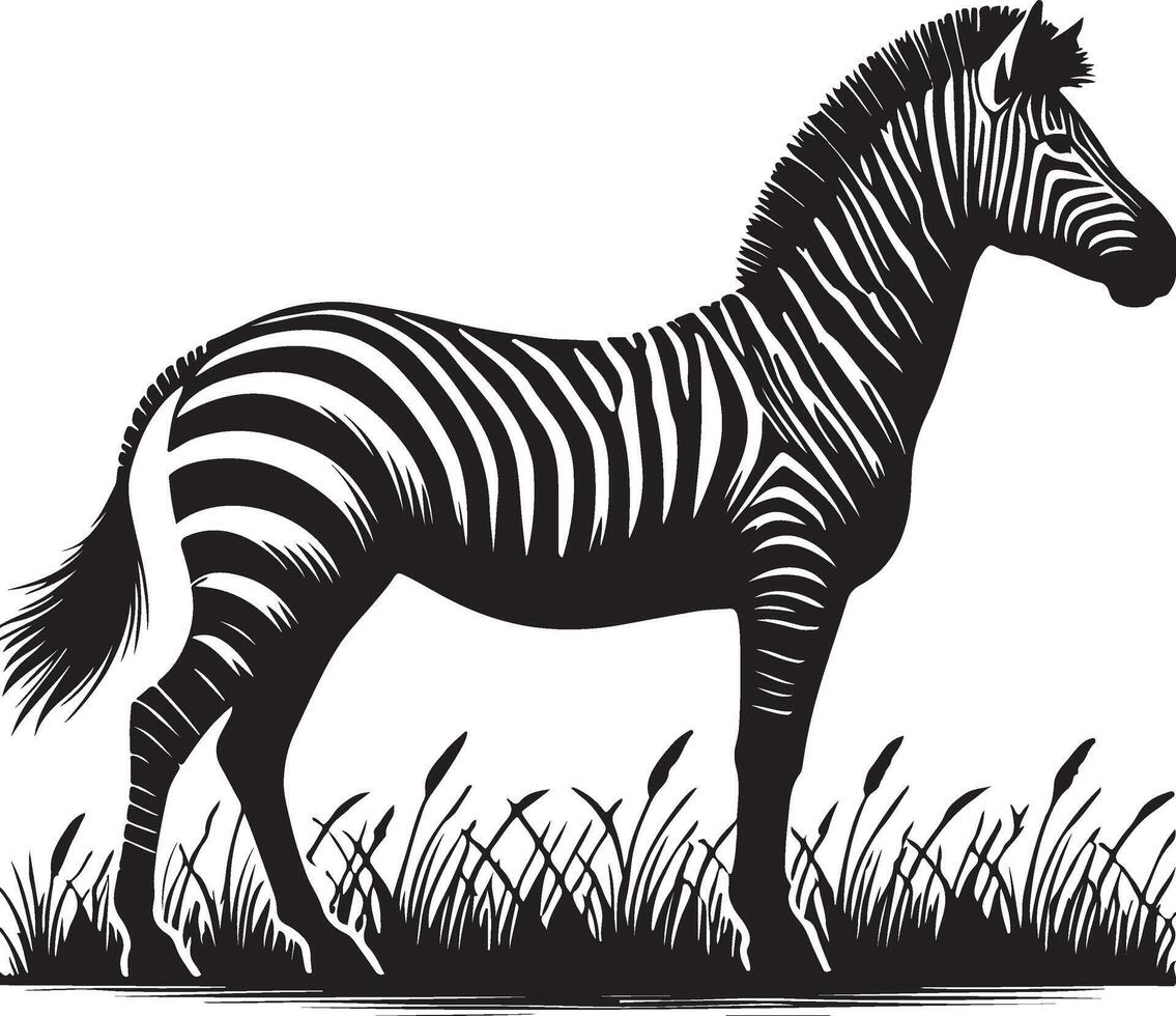 zebra standing in the grass, black and white silhouette vector
