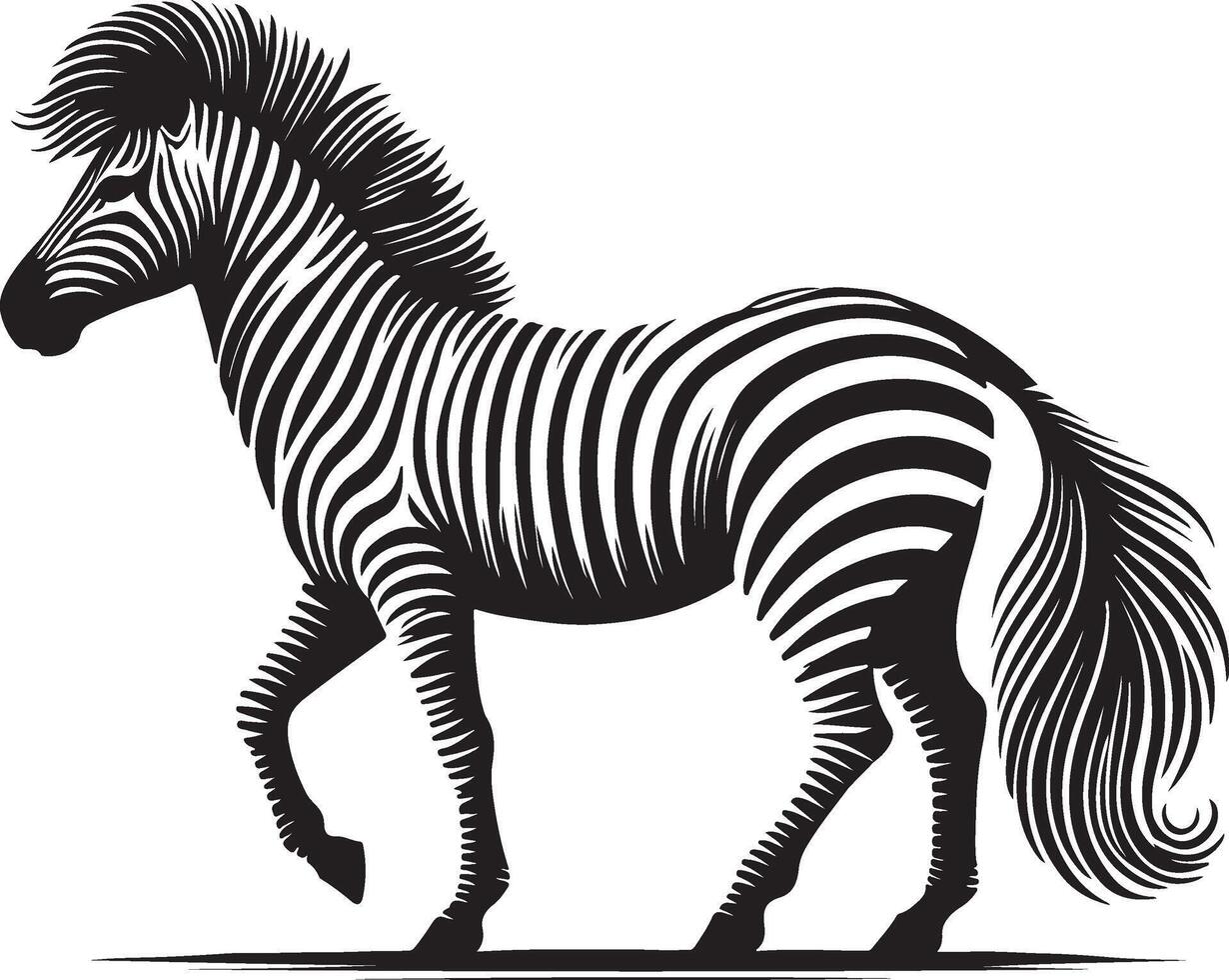 a black and white zebra standing on a white background vector