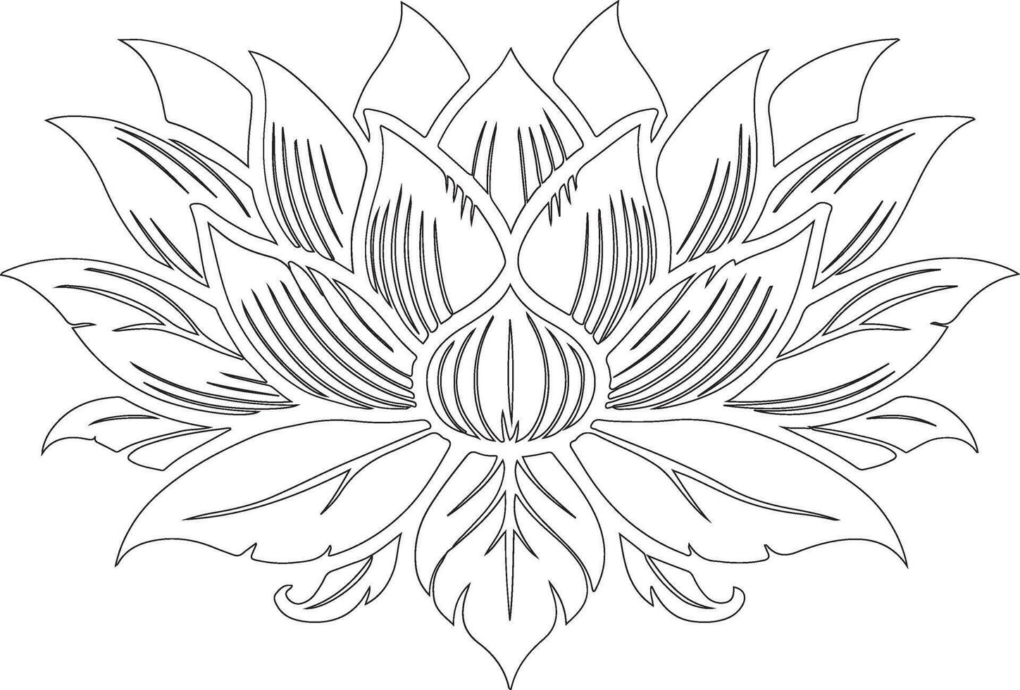 a lotus flower is drawn in black and white vector