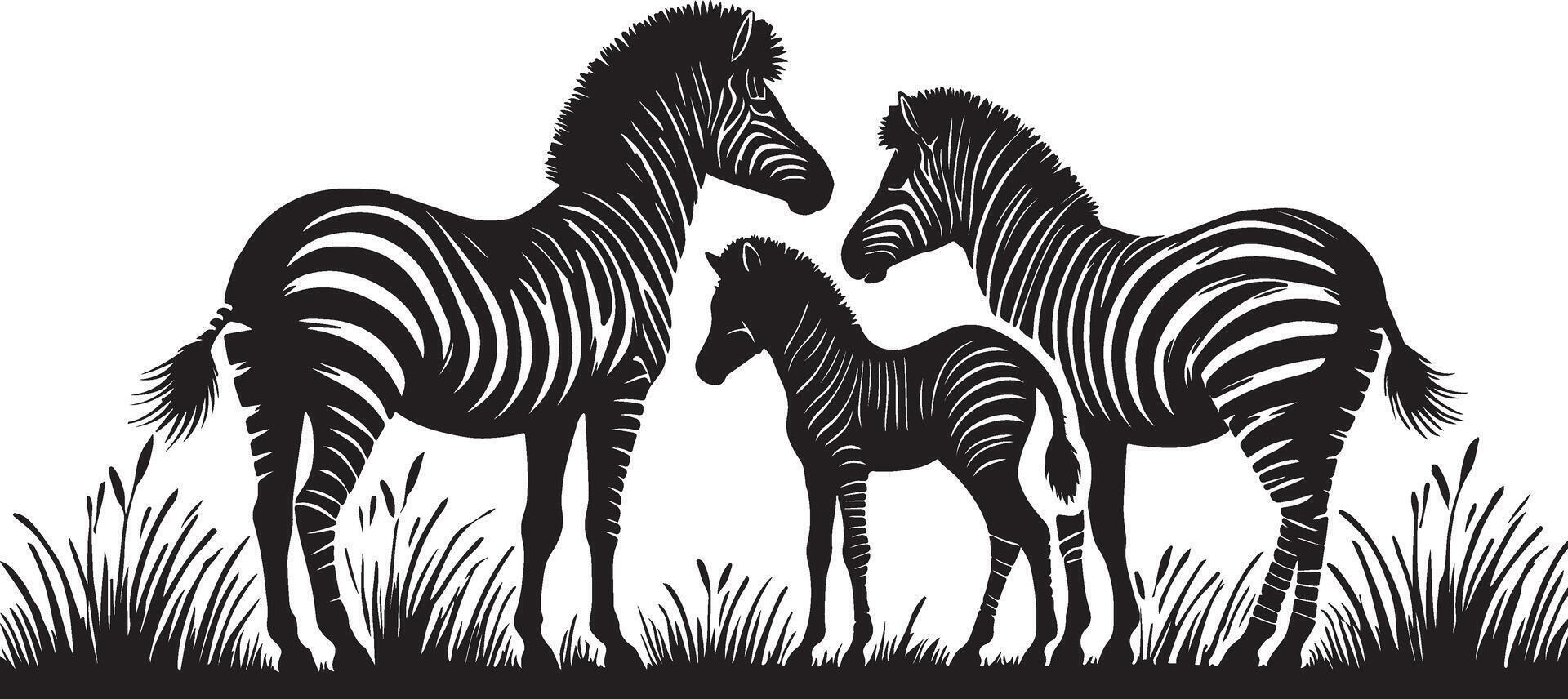 a black and white silhouette of three zebras vector