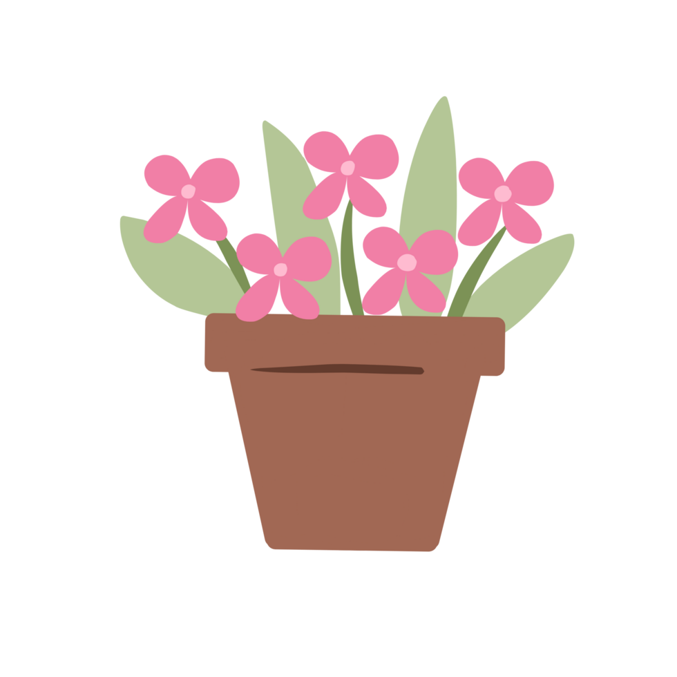 Cute Flowers Potted png
