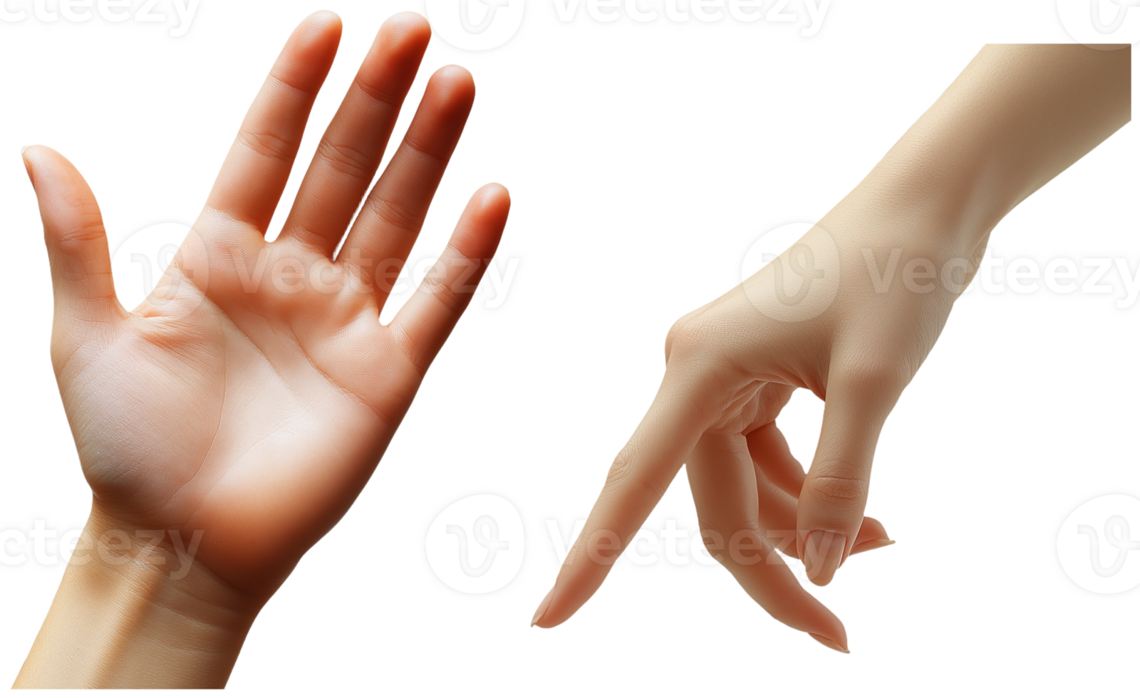 Exploring Human Connection through Touch and Gesture with Hands png