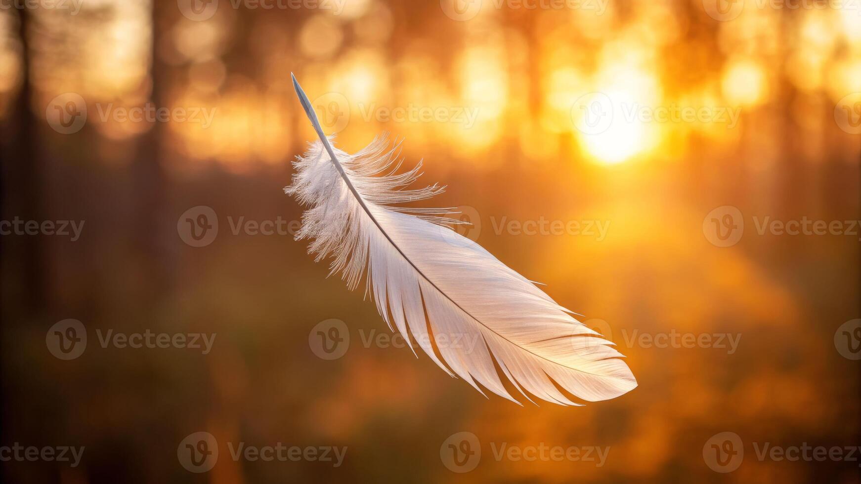 Gentle white feather floating at sunset nature scene close-up view in tranquil environment photo