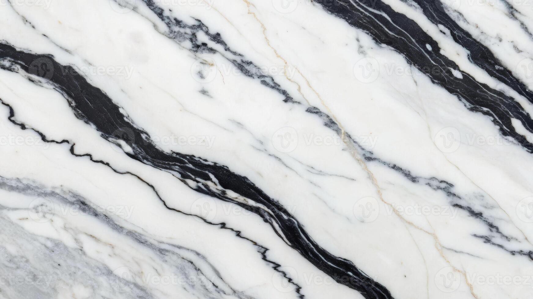 Panoramic view of marble patterns interior design high-resolution studio artistic concept photo