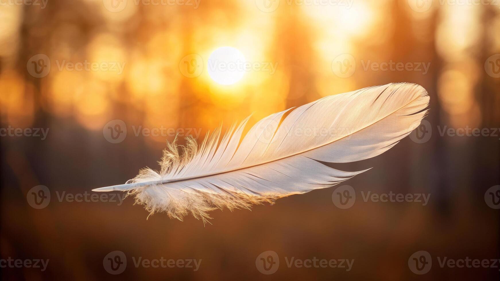Gentle feather floating at sunset nature close-up view tranquil environment serene concept photo