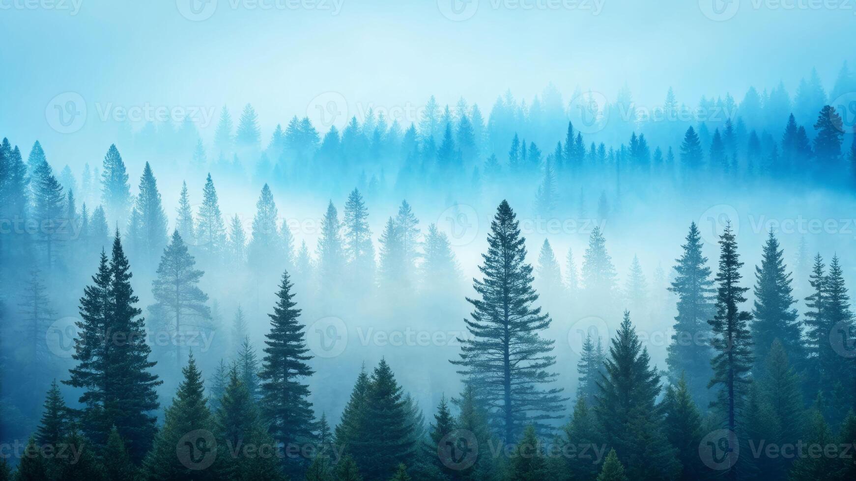 Cyan fog overlay in misty forest landscape with evergreen trees nature photography calm environment photo
