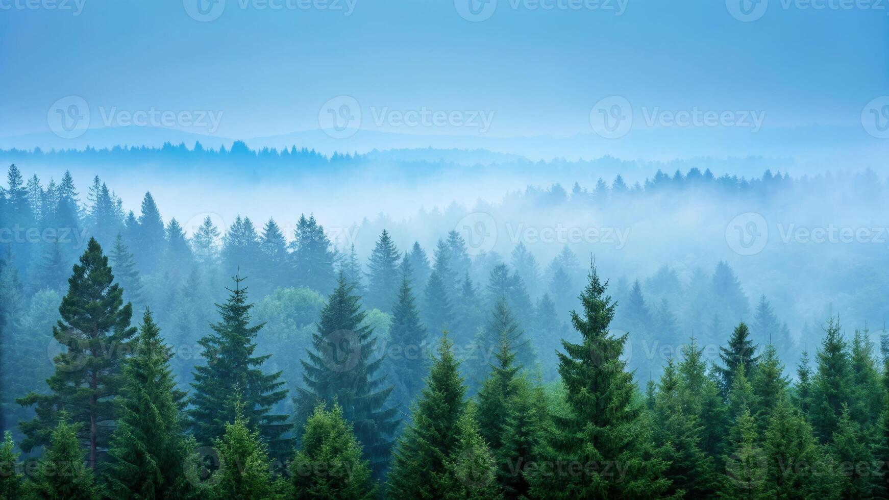 Misty forest landscape with evergreen trees cyan overlay foggy environment serene nature scene photo