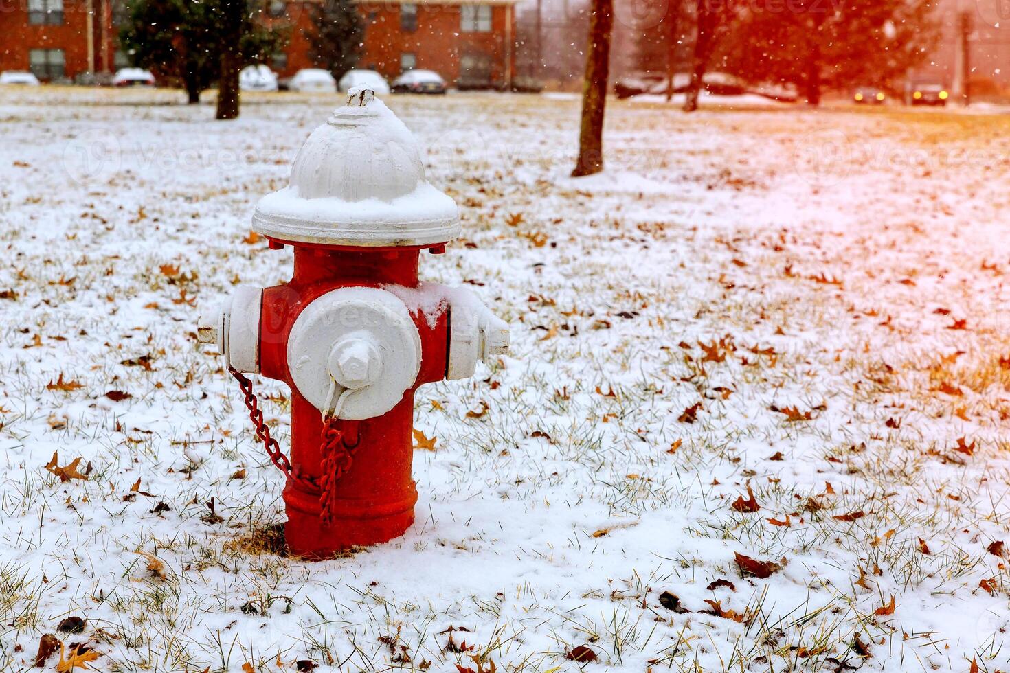 Fire Hydrant in winter, on snow covered street. street hydrant winter snow photo