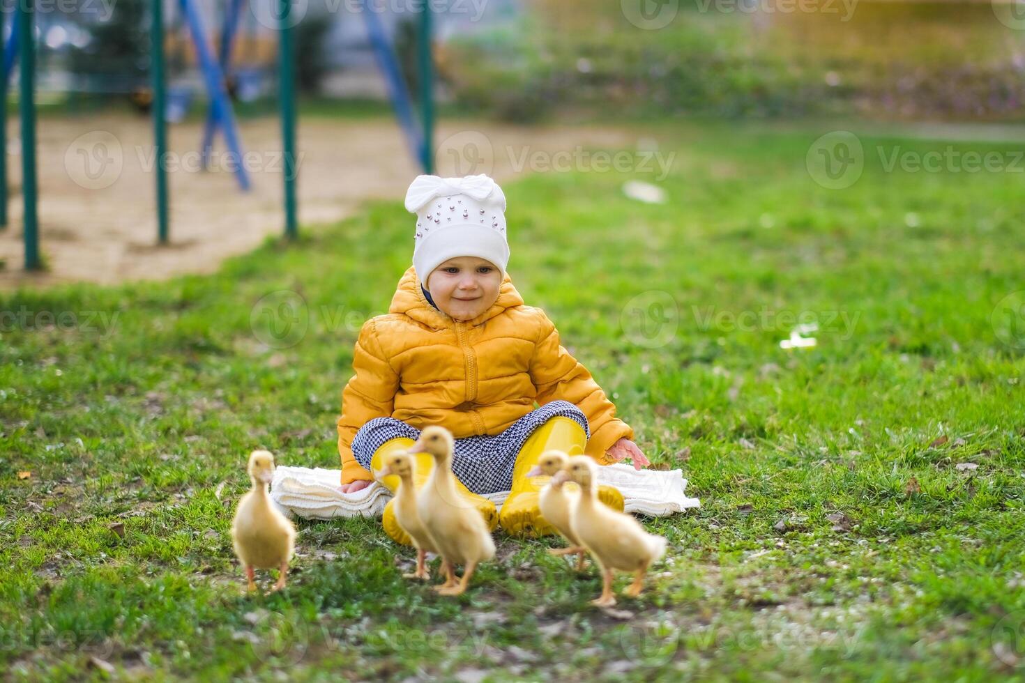 childl walking on the street in the company of ducklings photo