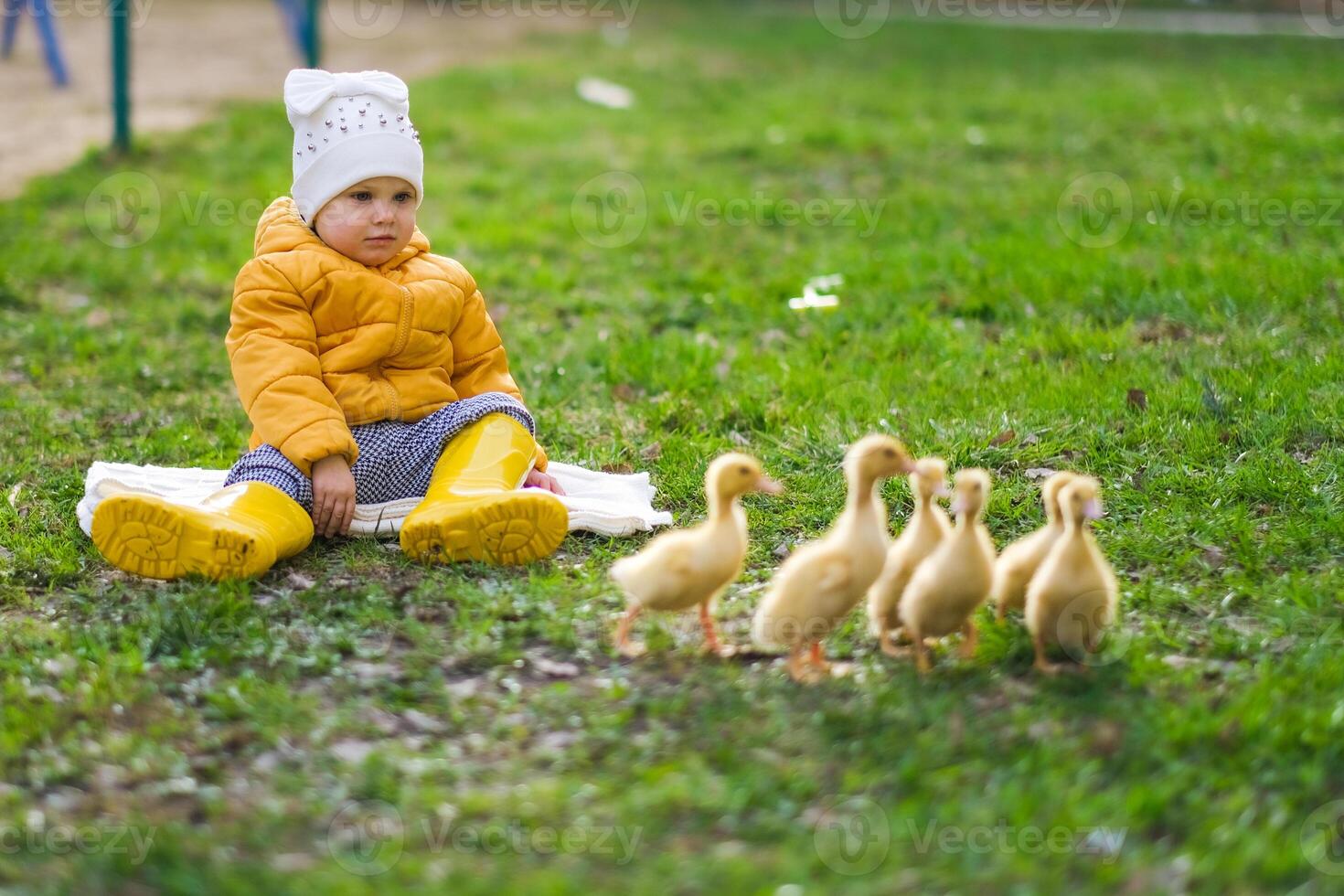 baby girl walking on the street in the company of ducklings photo