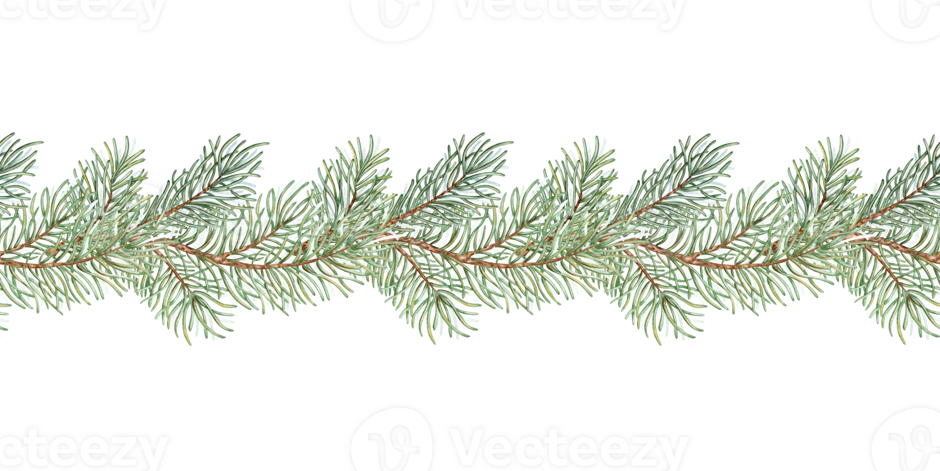 A garland of fir branches for the New Year and Christmas watercolor illustration is drawn by hand. Seamless horizontal border with winter plants isolated from background. Pine, fir, juniper, evergreen png