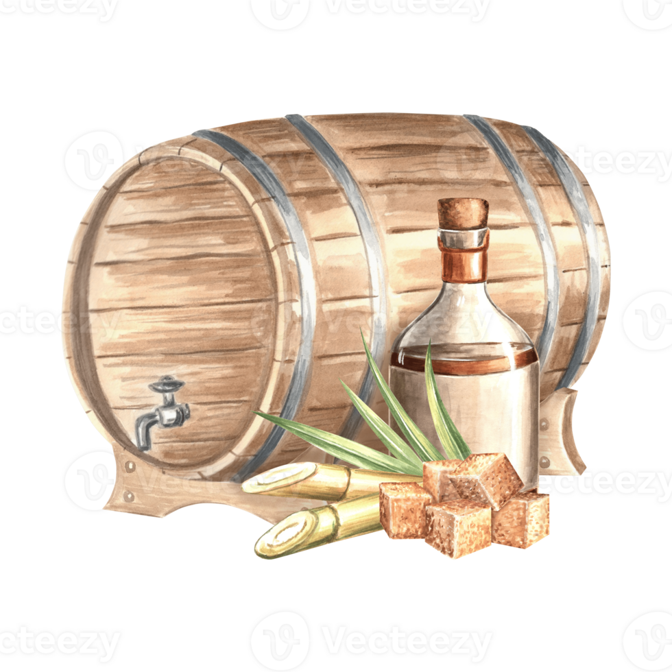 Bottle of rum and wooden barrel, sugar cane and brown sugar cubes. Composition with alcoholic beverage. Hand drawn watercolor illustration isolated. Keg, oak cask of whiskey. Clipart for food design. png