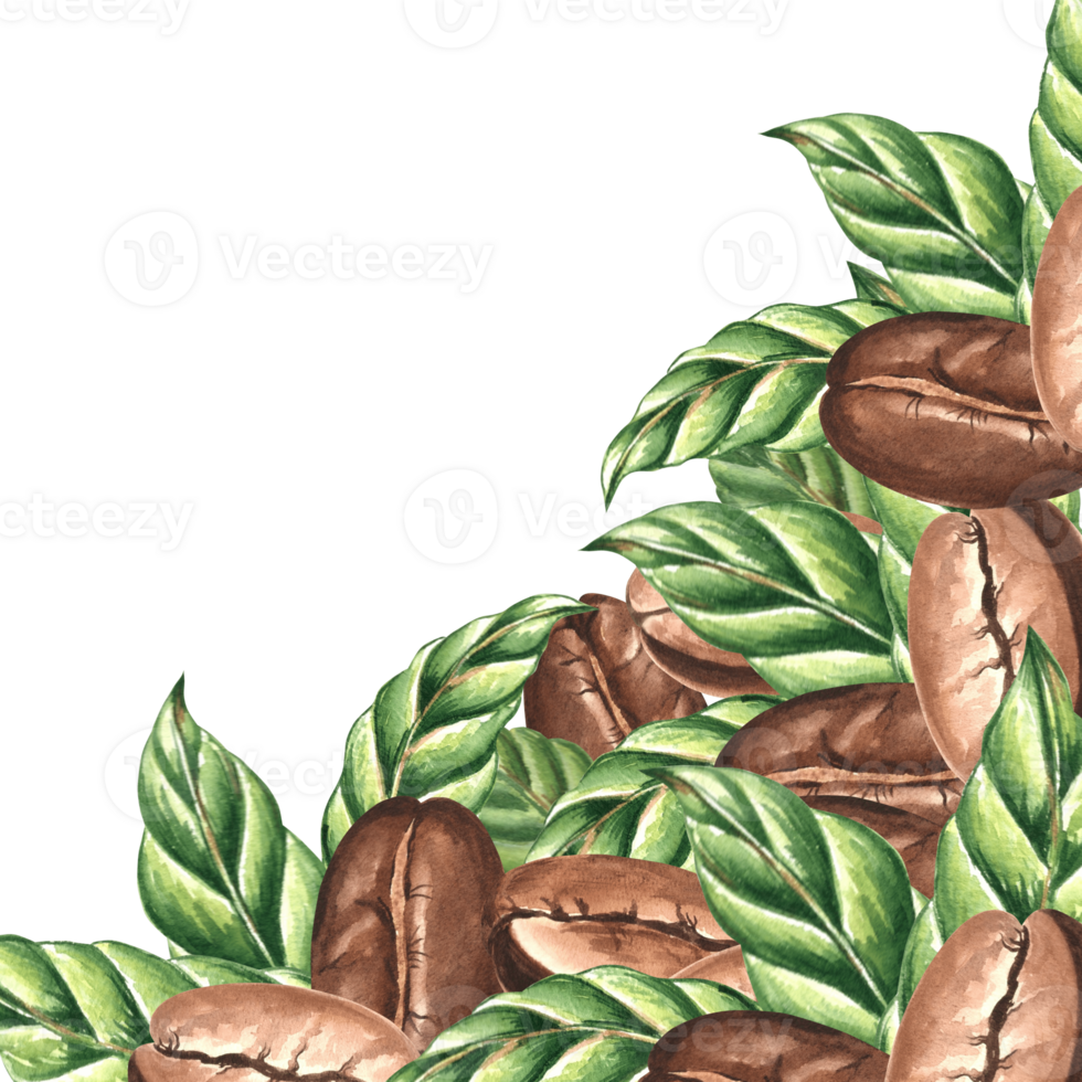 Roasted coffee beans with green leaves. Template postcard, corner border with copy space. Watercolor hand drawn illustration isolated. Square frame of Arabica grain. Clipart for print, packaging png