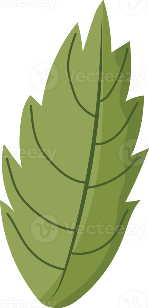 Illustration of a Green Leaf png