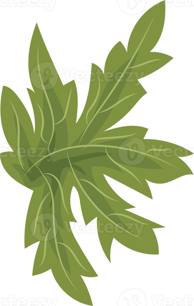 Illustration of Papaya's Green Leaves png