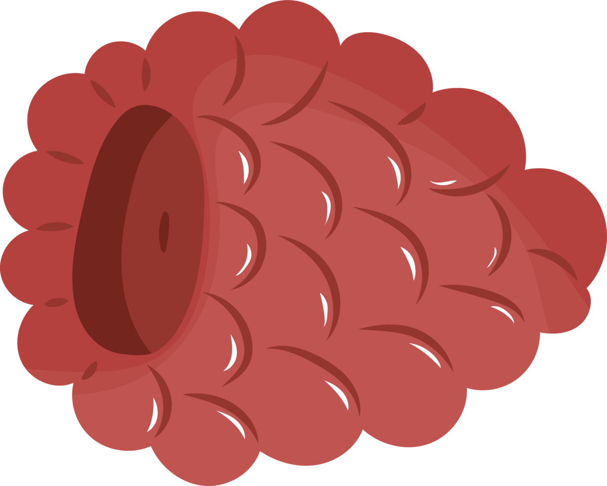 Illustration of a Fresh Raspberry png