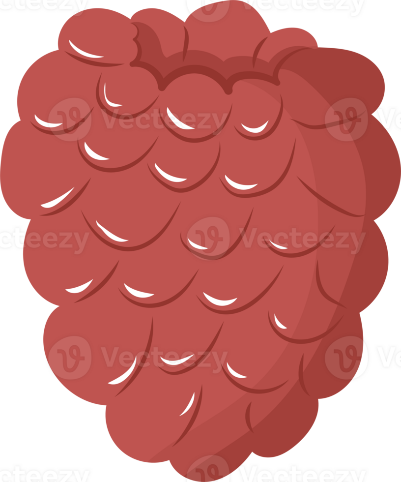 Illustration of a Fresh Red Raspberry png