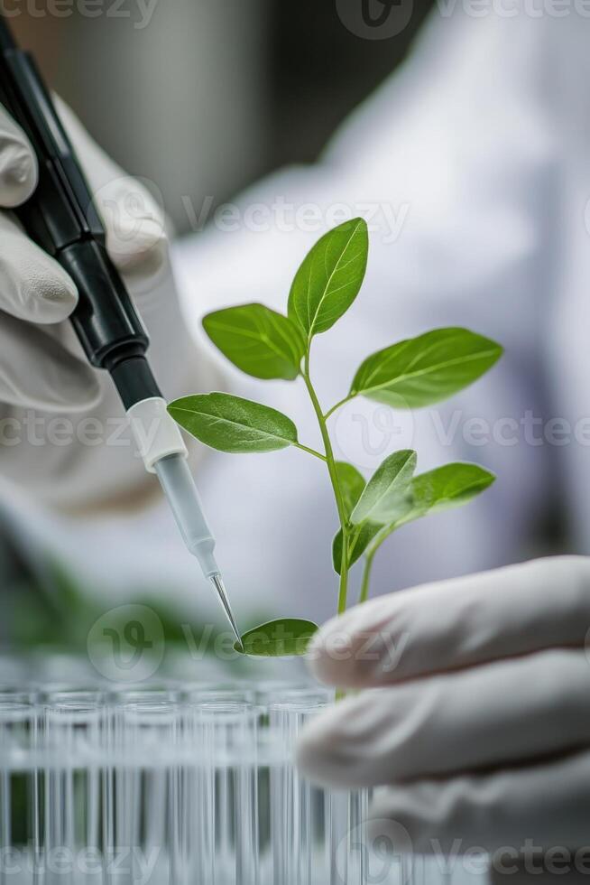 Close up of a scientist is meticulously examining a young plant sprout. The setting is characterized by its minimalistic design, emphasizing the focus on the research at hand. photo