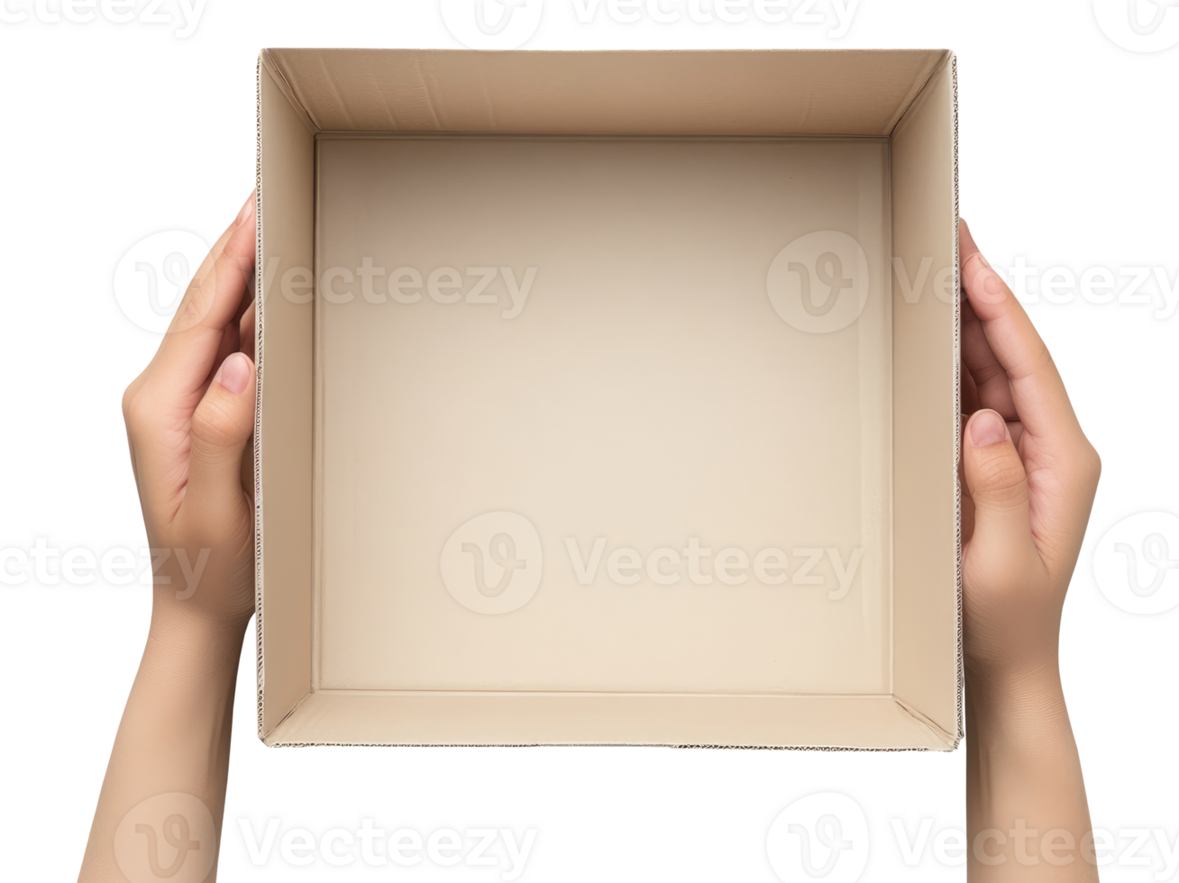 Hands holding empty cardboard box png