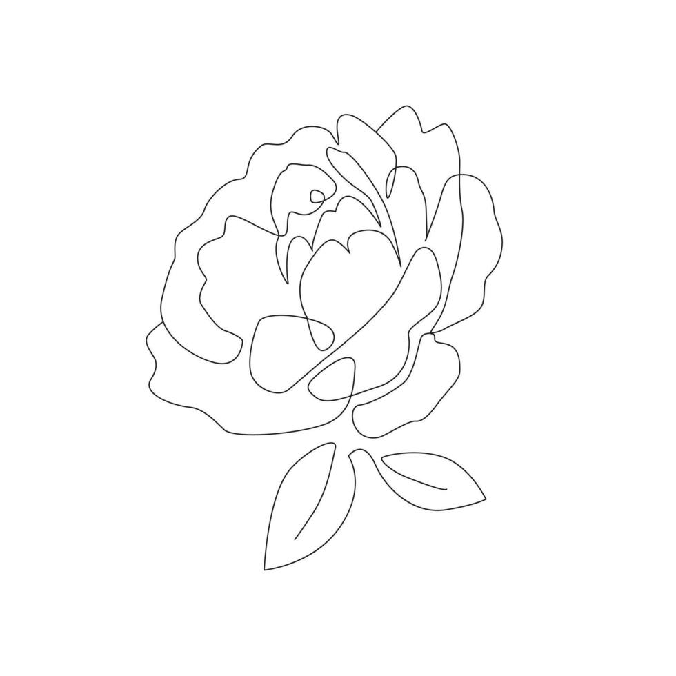 Botanical minimalist style illustration for print. Modern one line drawing. Rose, peony flower continuous line tattoo art vector