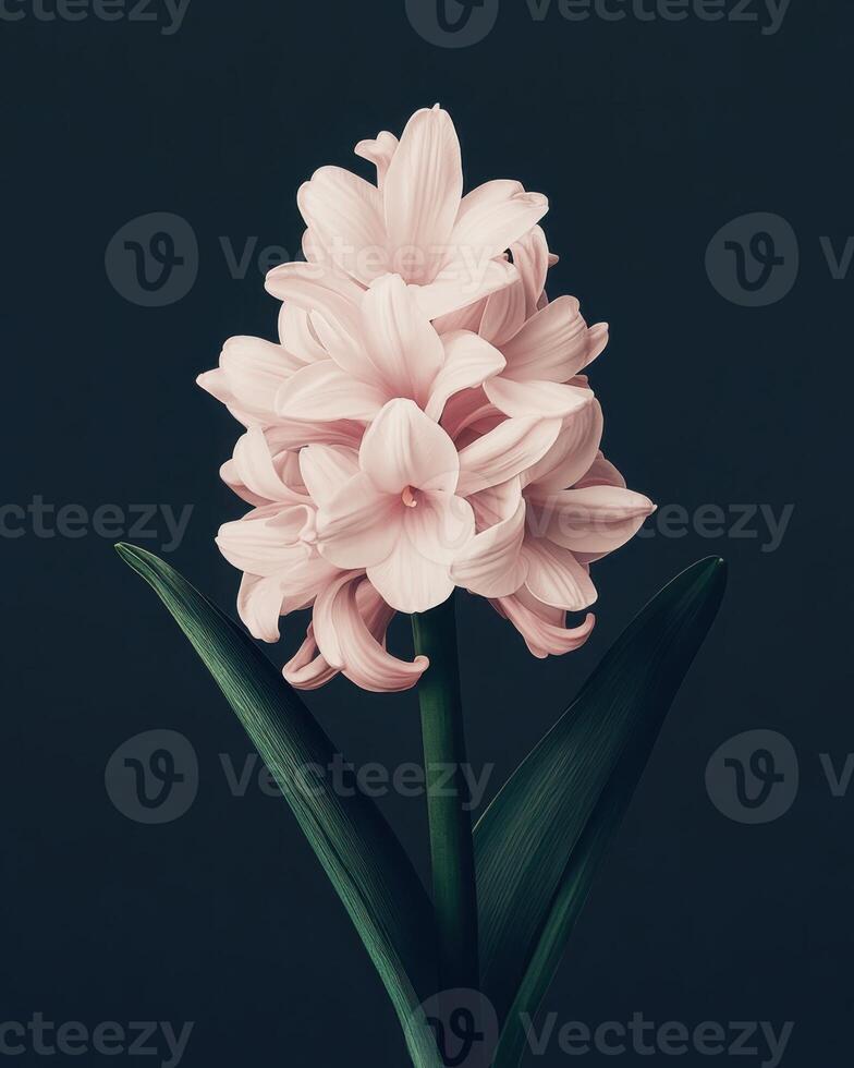 A single hyacinth flower integrated into a high fashion design. The composition emphasizes clean lines and a restrained color palette. photo