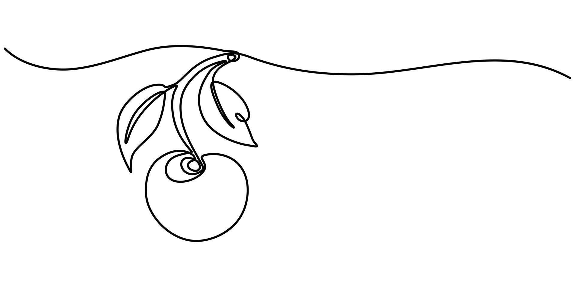 Cherry fruit continuous one line drawing minimalistic design vector