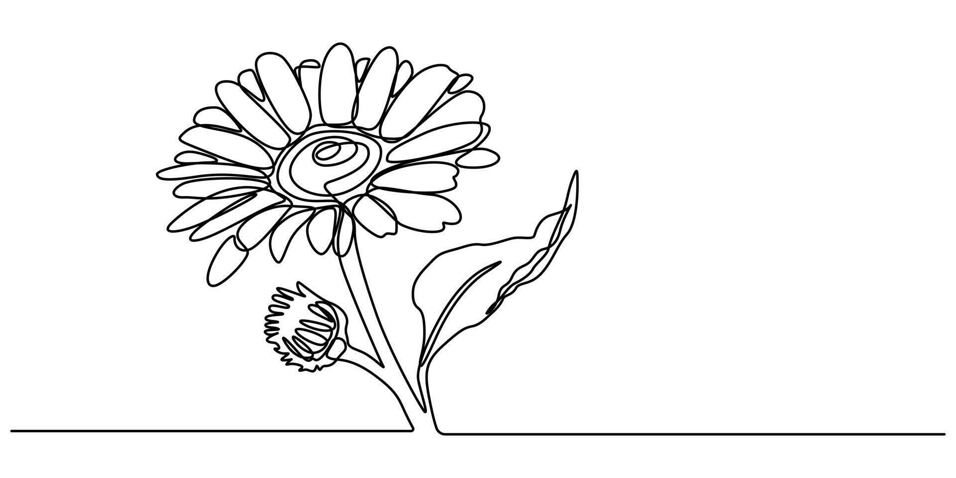 continuous one line drawing of sunflower and floral frame concept doodle illustration in simple linear style vector