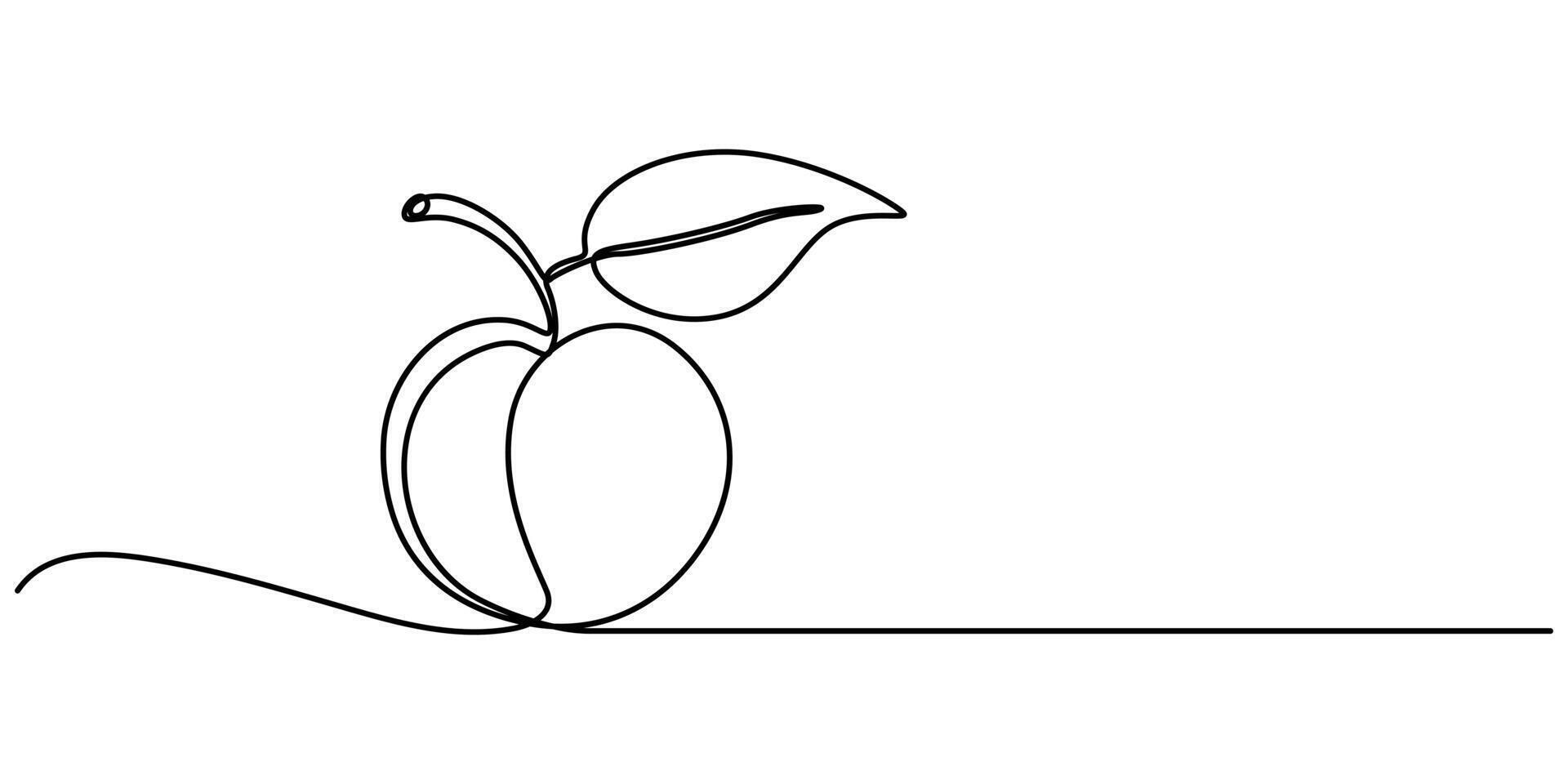 Plum drawn in continuous one line drawing minimalism illustration vector