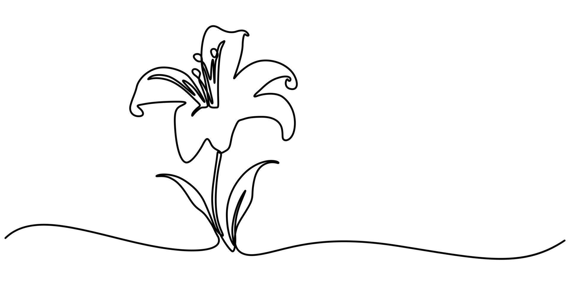 continuous one line drawing of beauty fresh lily for garden logo illustration vector