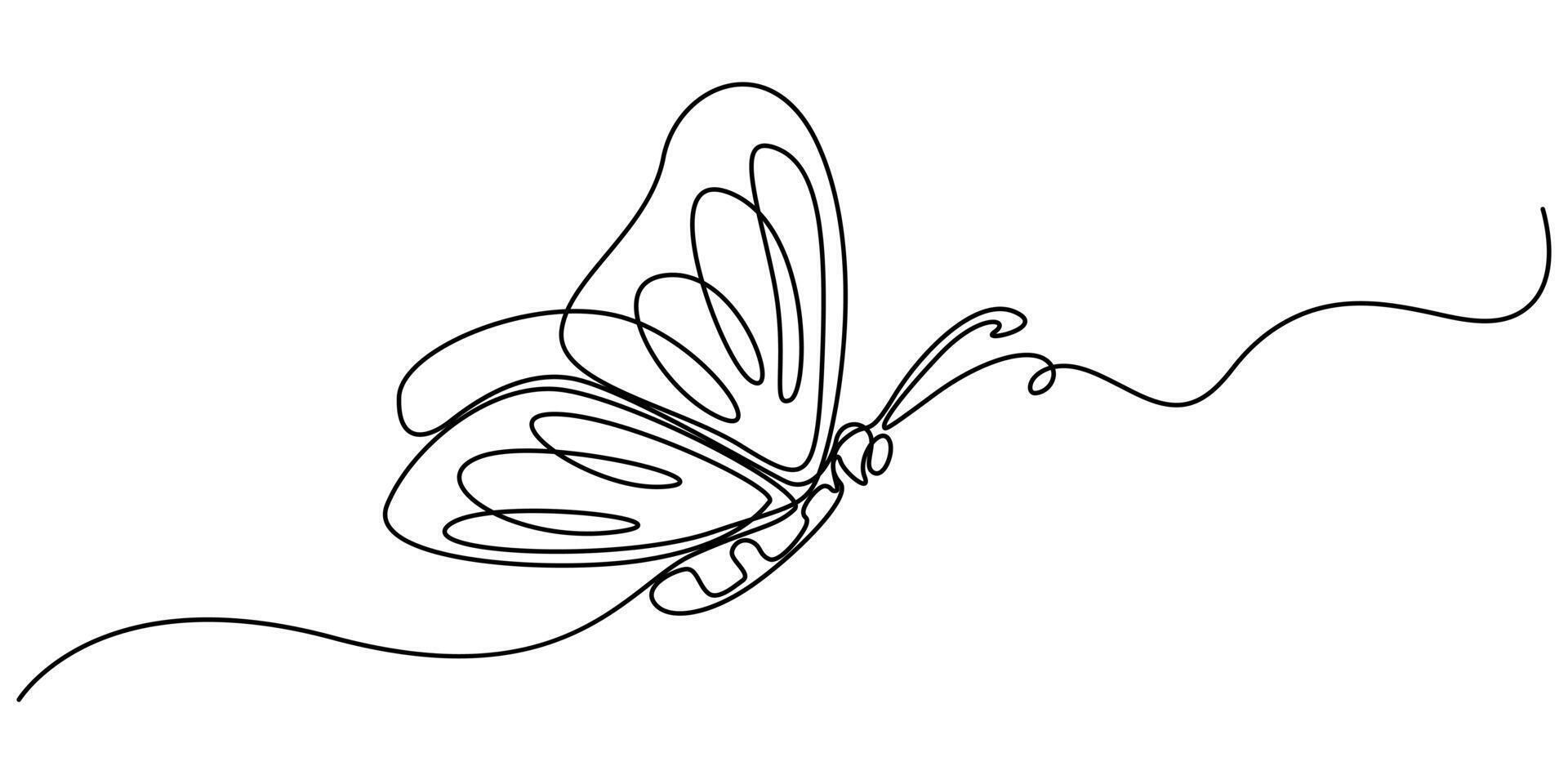 Butterfly continuous one line drawing minimal illustration vector