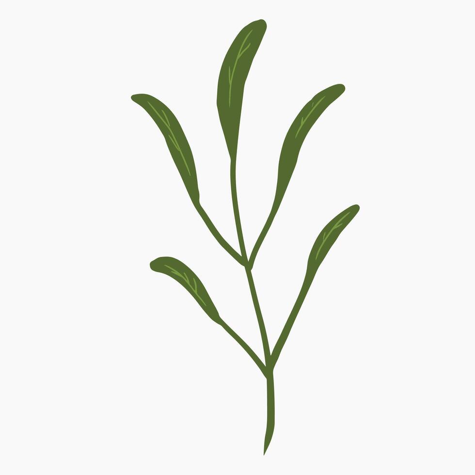green leaf design vector