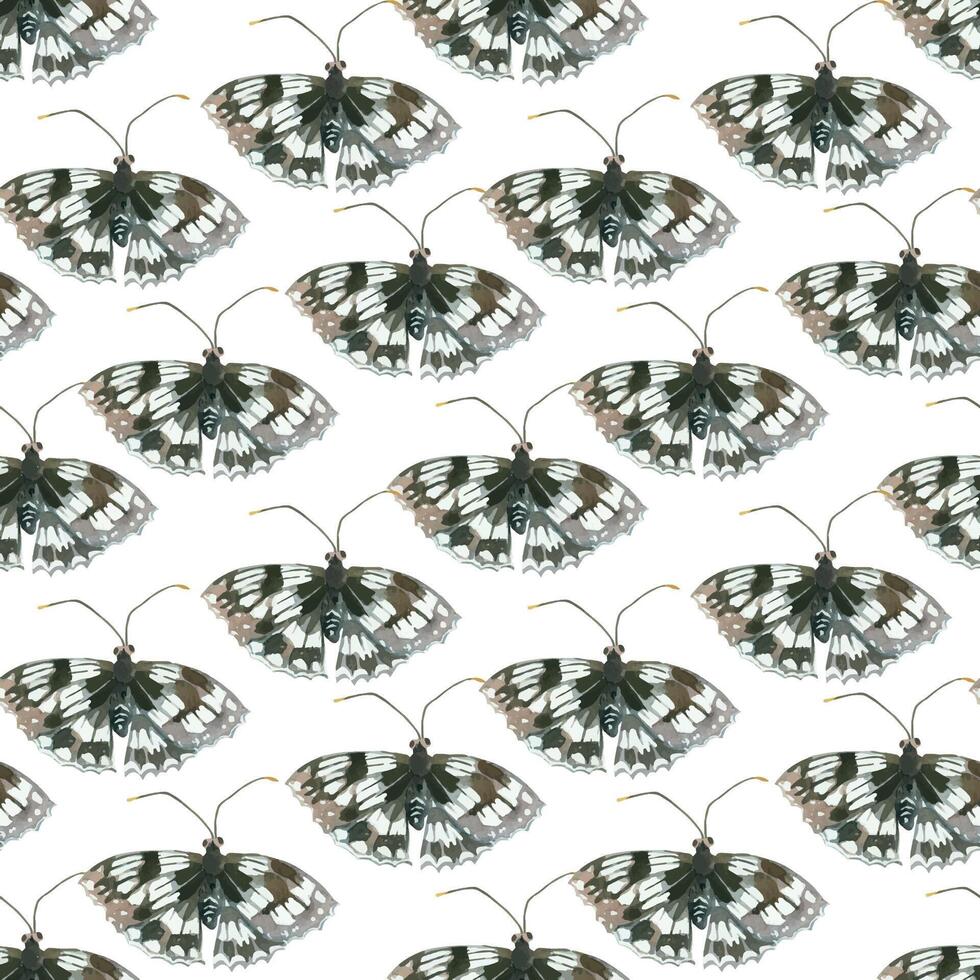 Seamless watercolor pattern. Insects, butterflies black and white hand-drawn with watercolor and isolated on a white background. Suitable for printing on fabric, paper, stationery and scrapbooking vector