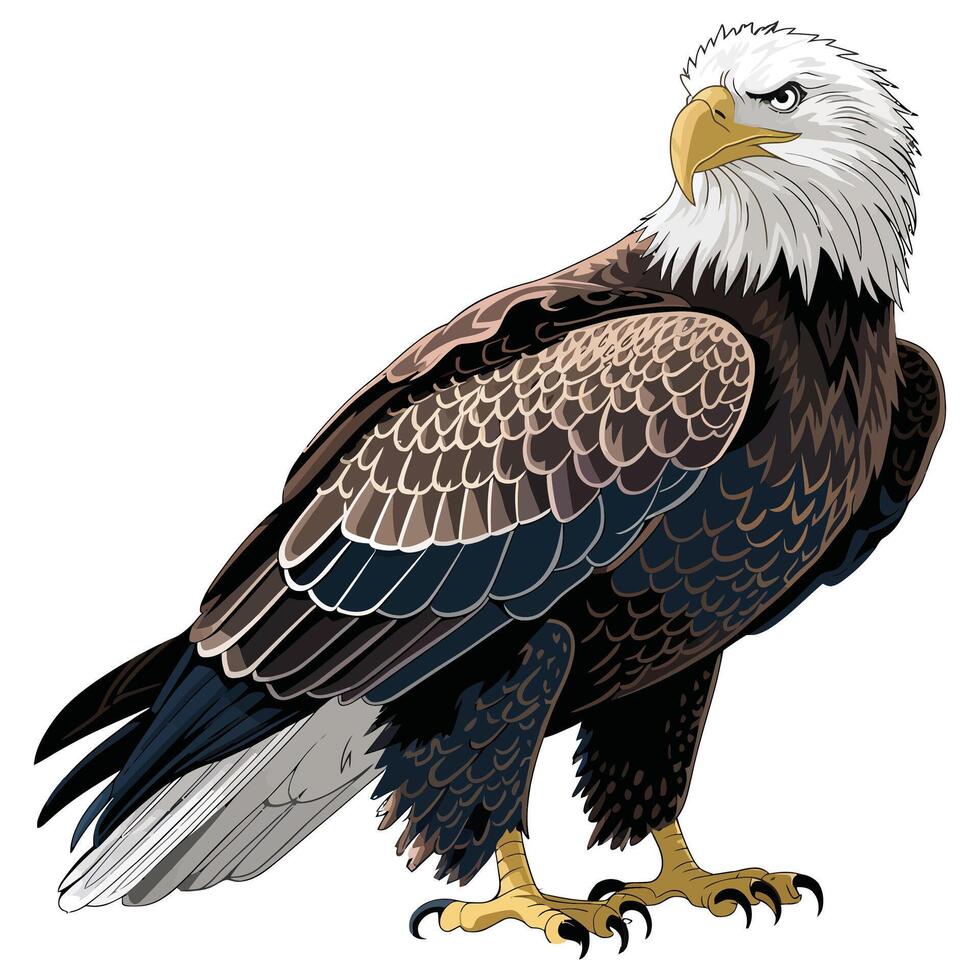 Bold Eagle Artwork on White Background. vector