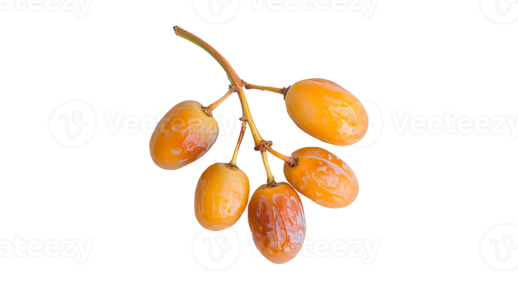 Nutrient-rich dates hanging from their stem on a clear backdrop png