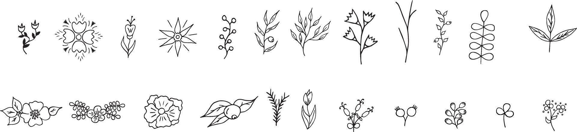 a set of hand drawn flowers and florals. vector