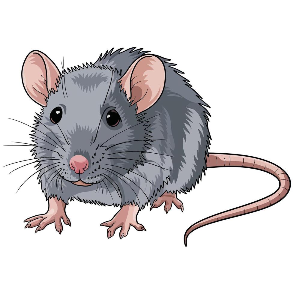 A cartoon rat on a white background vector