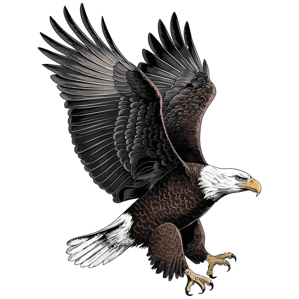 A bald eagle flying vector