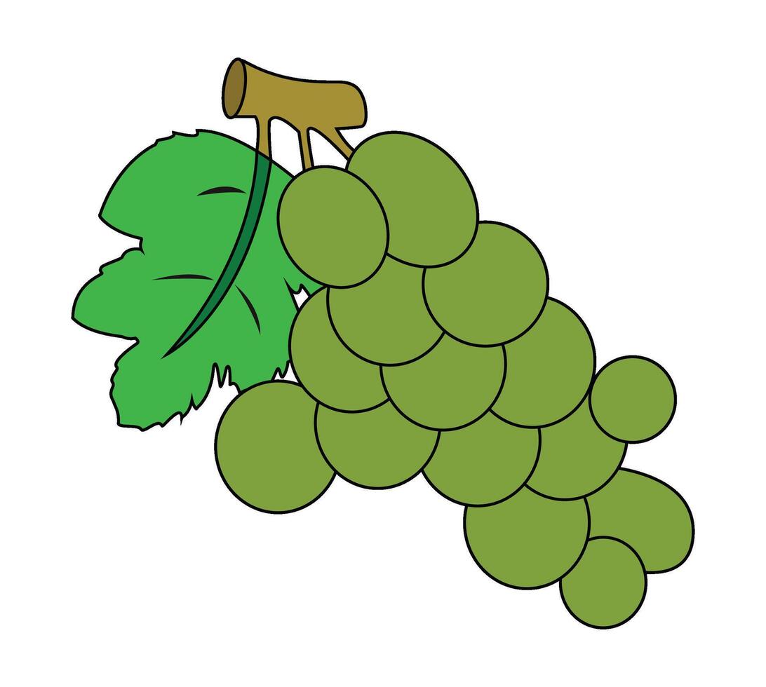 Illustration of grapes with green leaves vector