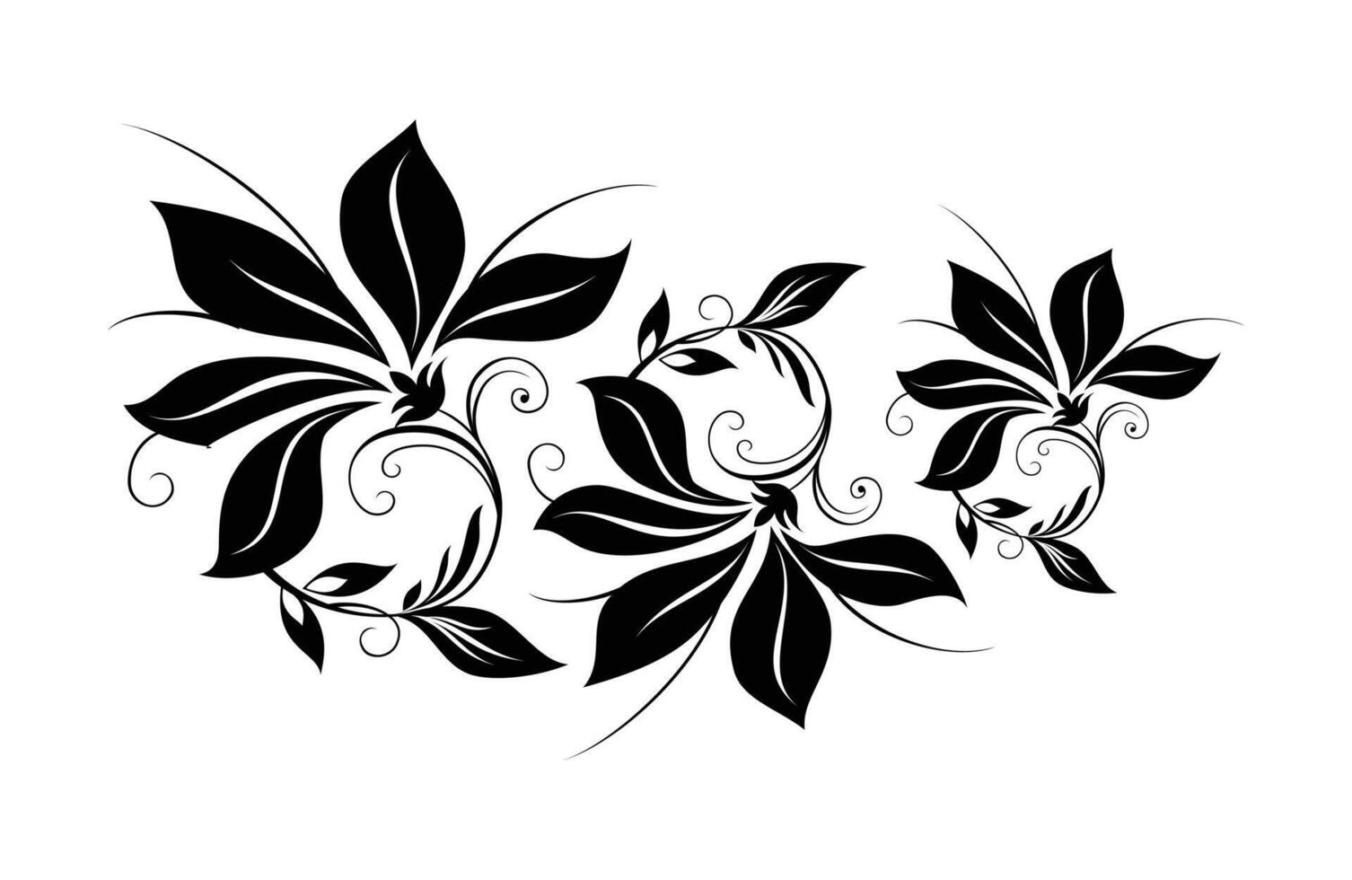 Set floral decorative ornament art6 on black and white colour vector