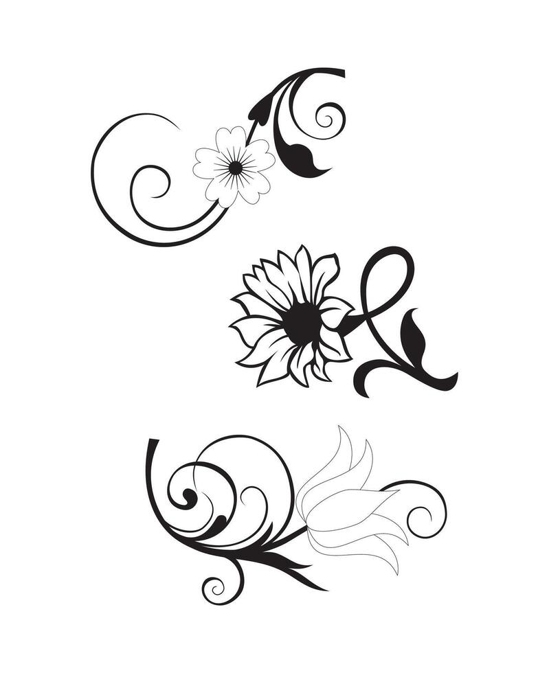Set floral decorative ornament on white background vector